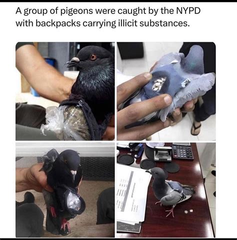 Wake Up Babe Free Drugs In The Sky R Drugscirclejerk