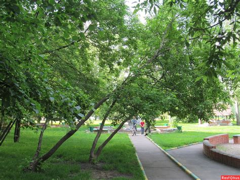 Картинки парк во дворе (64 фото)
