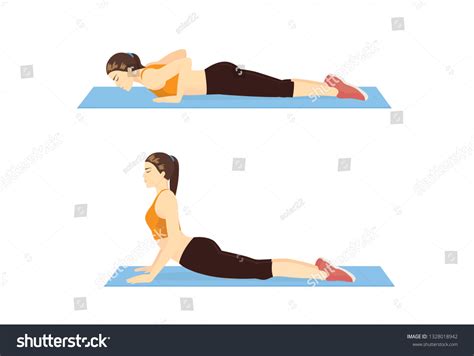 Woman Doing Cobra Stretch Exercise On Stock Vector (Royalty Free) 1328018942 | Shutterstock