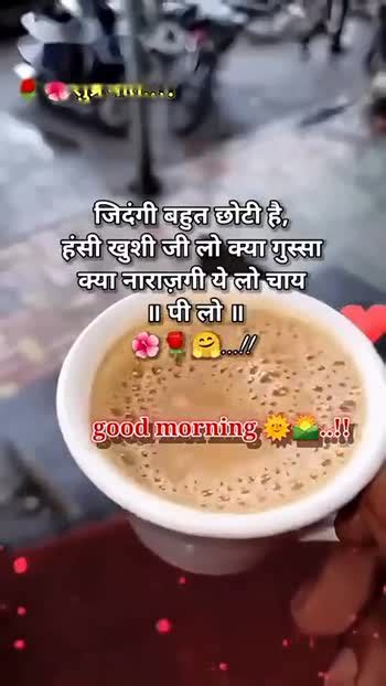 गुड मॉर्निंग शायरी👍 गुड मॉर्निंग शायरी👍 🌞 Good Morning🌞 Video Raj Sharechat Funny