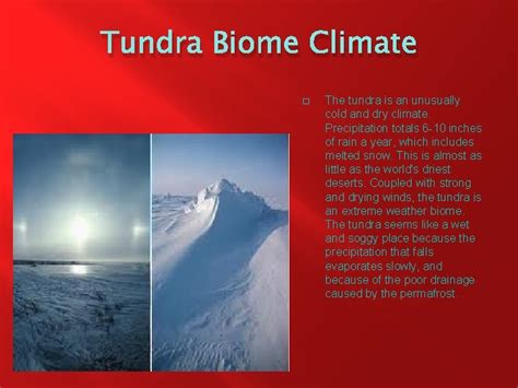 Tundra Biomes The Amazing Facts Of Tundra Biomes