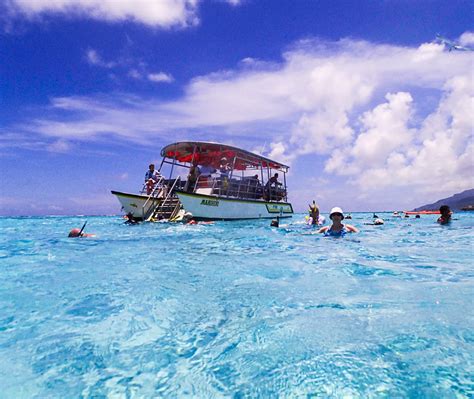 How To Go Swimming With Stingrays On A Moorea Shore Excursion