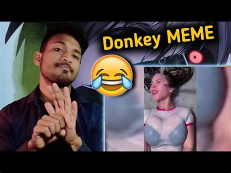 Try Not To Laugh Challenge Viral Dank Memes Youtube