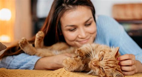 Conoce Los Beneficios De Tener Un Gato Como Mascota