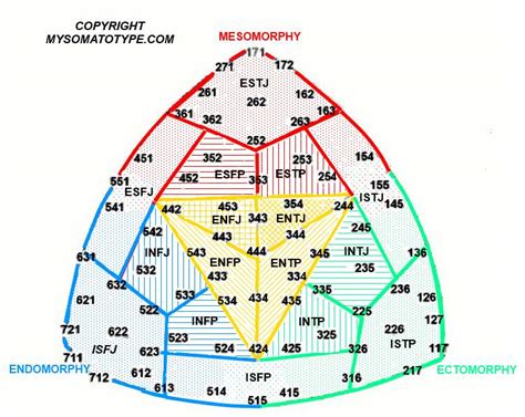 Mbti General Physical Traits And Mbti Typology Central