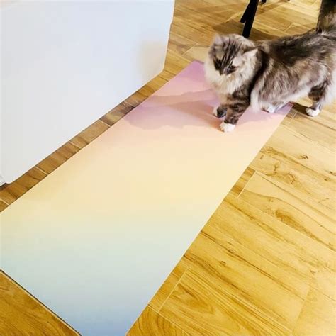 Deco Tapis De Sol Vinyle Antid Rapant Rainbow X Cm