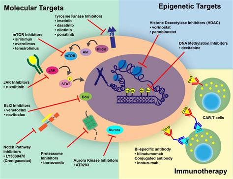 Next Generation Evaluation And Treatment Of Pediatric Acute Lymphoblastic Leukemia The Journal