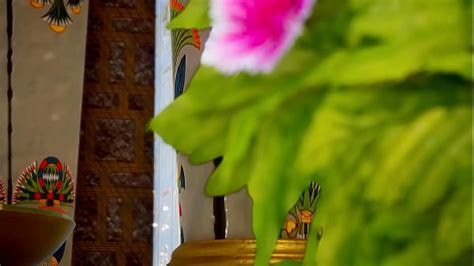 Egyptian Lesbian Videos XVIDEOS