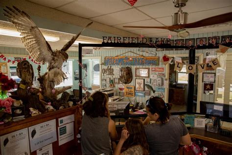 Visitors flock to Texas’ Fairfield Lake State Park on its last day | The Texas Tribune