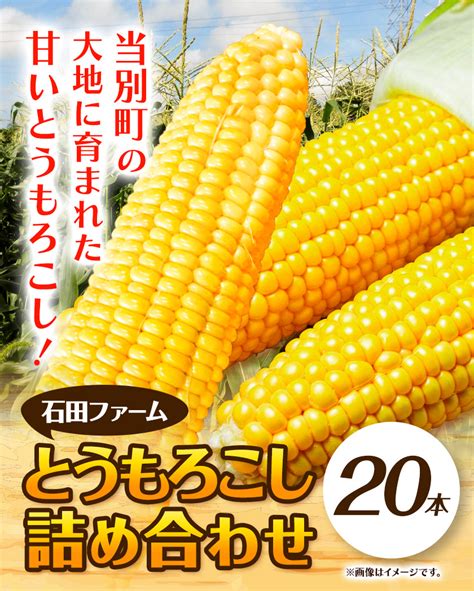 【楽天市場】【ふるさと納税】石田ファーム とうもろこし詰め合わせ20本セット 訳あり 不揃い 朝採り 野菜 新鮮 夢のコーン 甘獲娘