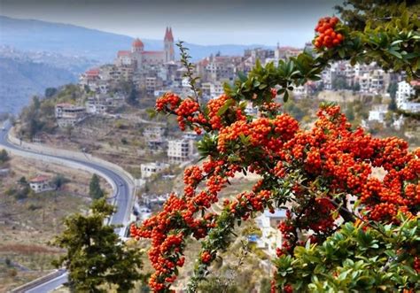 أجمل أماكن السياحة في شمال لبنان | مستقل