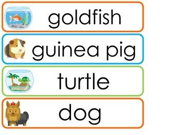 Pets Word Wall Weekly Theme Posters. by Teach At Daycare | TpT