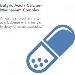 Nutricology ButyrAid 100 Vegetarian Capsules: Enhancing Gut Health ...