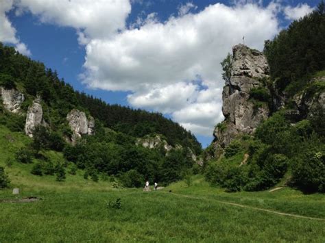 Free Images Landscape Tree Nature Grass Rock Meadow Hill