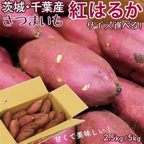 【楽天市場】紅はるか さつまいも 茨城千葉県産 525キロ 箱 正品 紅優甘 サイズ選べる 日本一の糖度を誇る人気の品種べにはるか べに