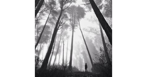 Unusual Perspective | Photo Challenge 2014 | POPSUGAR Tech Photo 10 