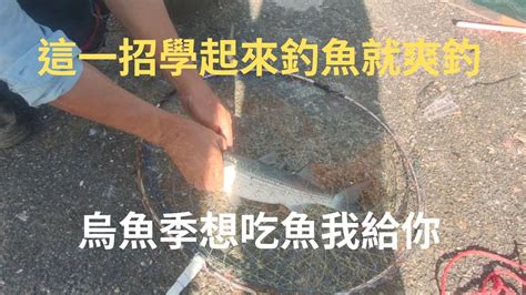 （第118集）釣魚大絕招有魚必中法魚皮勾珍珠勾釣法臺灣釣魚 Youtube