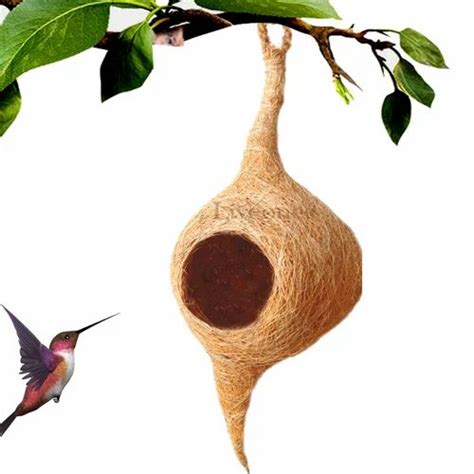 Round COIR TAIL BIRD NEST, Size: Medium at Rs 55/piece in Namakkal | ID ...