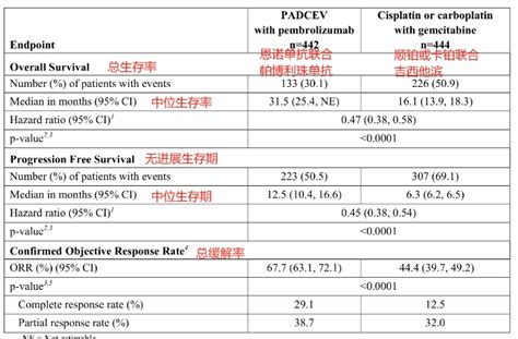 尿路上皮癌精准靶向药恩诺单抗延长生存期疗效显著 恶性肿瘤 生存期 转移性 靶向 疗效 精准 膀胱 健康界