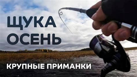 Осень. Щука. Крупные приманки. Рыбалка с лодки на спиннинг CF Perfect ...
