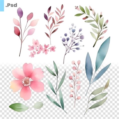 Set Floral Vetorial De Aquarela Flores Pintadas M O Folhas E Galhos