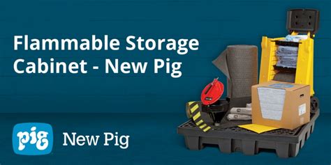 Flammable Storage Cabinet - New Pig