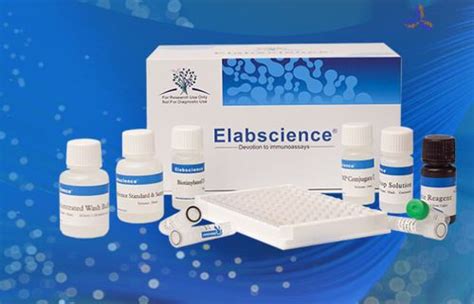 Research Test Kit Quickey Pro™ Elabscience Biotechnology Inc Density For Il 6 Serum