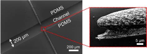 Scanning electron microscope (SEM) image of the microfabricated ...