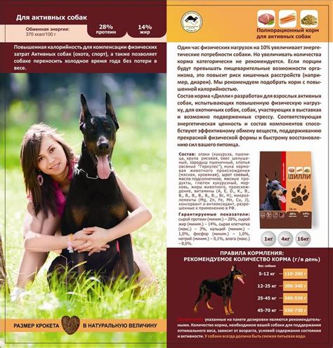 Корм Дилли для собак | состав, цена, отзывы