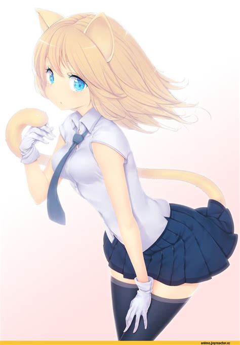 Anime Girl With Cat Ears And Blonde Hair