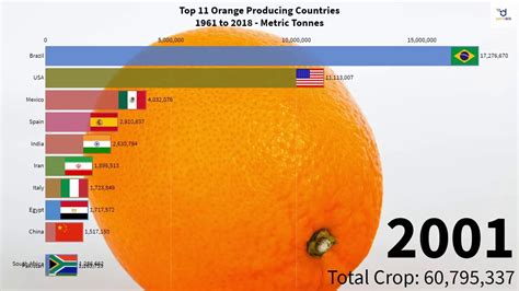 Top Orange Producing Countries Youtube