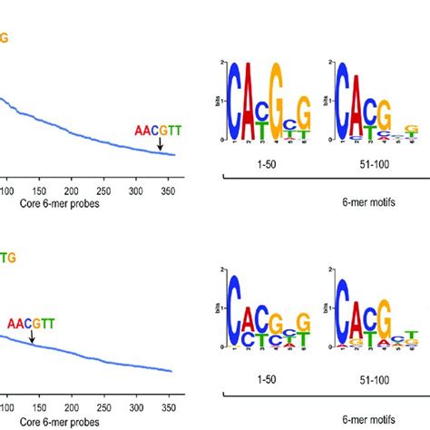 Specific Binding Of Mycmax Complexes To The Non E Box Ne Motif