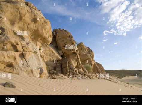 Sandstone cliffs on beach Stock Photo - Alamy