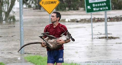 Queensland Flood, 2010/2011 | Australian Disasters