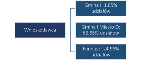 Zwolnienie z konieczności przygotowania dokumentacji cen transferowych