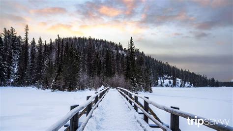 6 Winter Themed Zoom Backgrounds