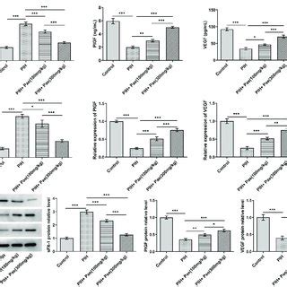 Paeoniflorin Decreases The Levels Of Sflt Plgf And Vegf In Serum And