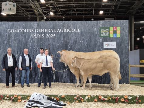Salon De Lagriculture En Bretagne On Aime La Blonde Daquitaine