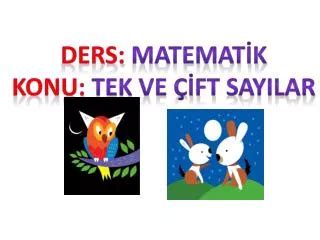 Ppt Sl Sayilar Ders Matematik Sinif Renme Alani Say Lar