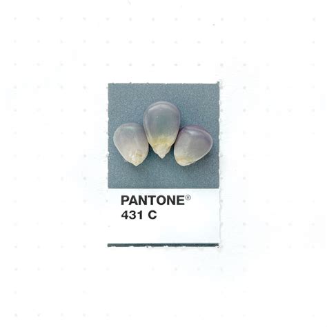 Pantone Colour 431c Edu Svet Gob Gt