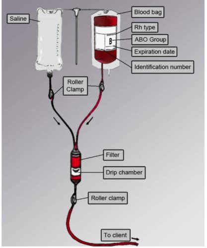 Nurs Exam Delegation Blood Transfusions Gi Flashcards Quizlet