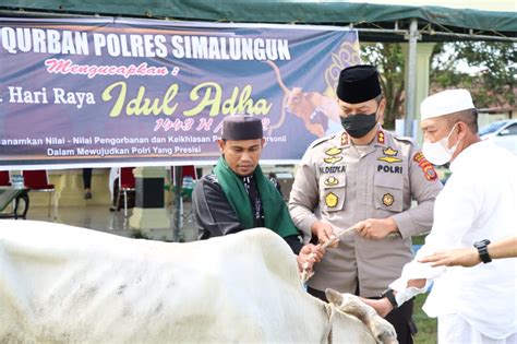 Semarak Idul Adha Polres Simalungun Sembelih 14 Hewan Qurban OGENews