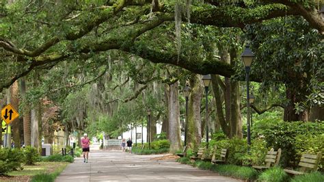 Forsyth Park in Savannah, Georgia | Expedia