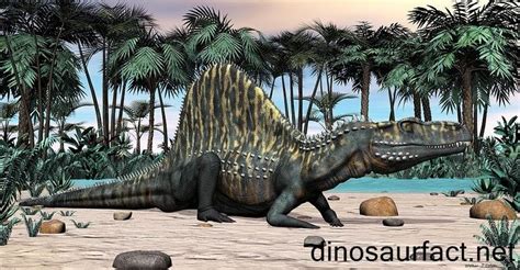 Arizonasaurus - Alchetron, The Free Social Encyclopedia