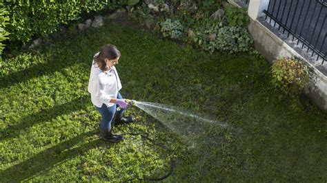 How To Maintain A Healthy Lawn Without Using Chemicals Global Ideas