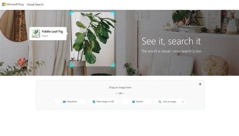 pimeyes alternatives  reverse image search