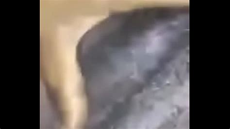 Black Pussy Sucking Search XNXX