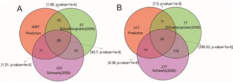 Venn Diagram Of Overlaps Between Different Lists Of Pre Regulated Genes