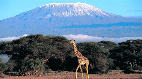 Kilimanjaro National Park, Tanzania ~ Must See how To?