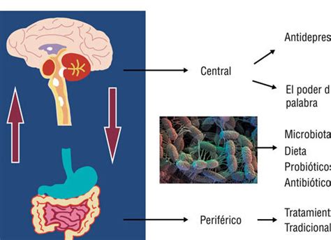 Tratamiento Para El Sindrome De Intestino Irritable